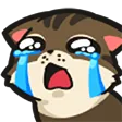 spirit11Cry