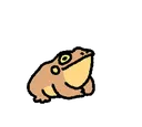 toadsit