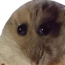 stare stare