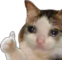 catsalute