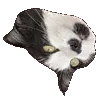 SpinningSprite