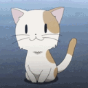 UDUcatmeow Discord Emoji