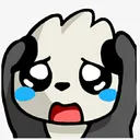 LGD_cryy