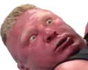 wut