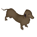 doggo