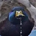 682069104638689283