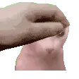bingusPet