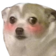 Concern_Blush Discord emoji