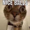 niceballs