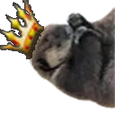 KingJoey