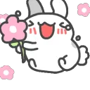 bcaHappyHops