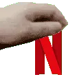 netflixpet