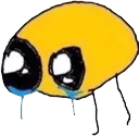 cri