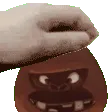 pet_maurice