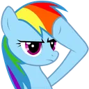 dashsalute