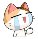 CryingCat