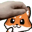 pettheseizure