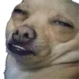 doggocringe