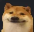 smiledog