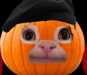 Pumpkincat PumpkinCat Discord Emoji