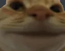 smilingkitty