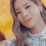 DubuShush DubuShush