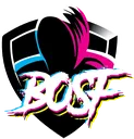 BoSFeSports