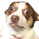 hot_dog Discord emoji