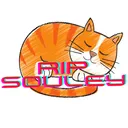 RIPSouley