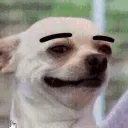 tudac tudac