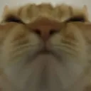 suspingi Discord Emoji