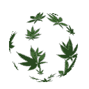 weedglobe