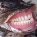 Teethfish