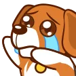 Cry
