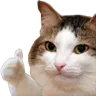 catThumbsUp