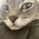 Gunther