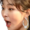 seulgipog