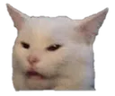 Cat_Moody