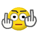 xflipXE