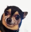 __ __