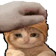 catstroker catstroker