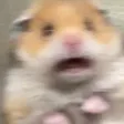 hScared
