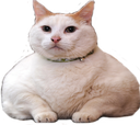 ch_fat Discord emoji
