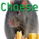 choese