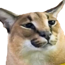 ch_floppadisappointment Discord emoji