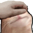 ch_catpet2 Discord emoji