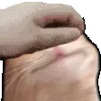 ch_catpet2