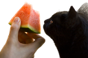 ch_melon Discord emoji