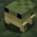frogg