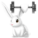 gymbunny